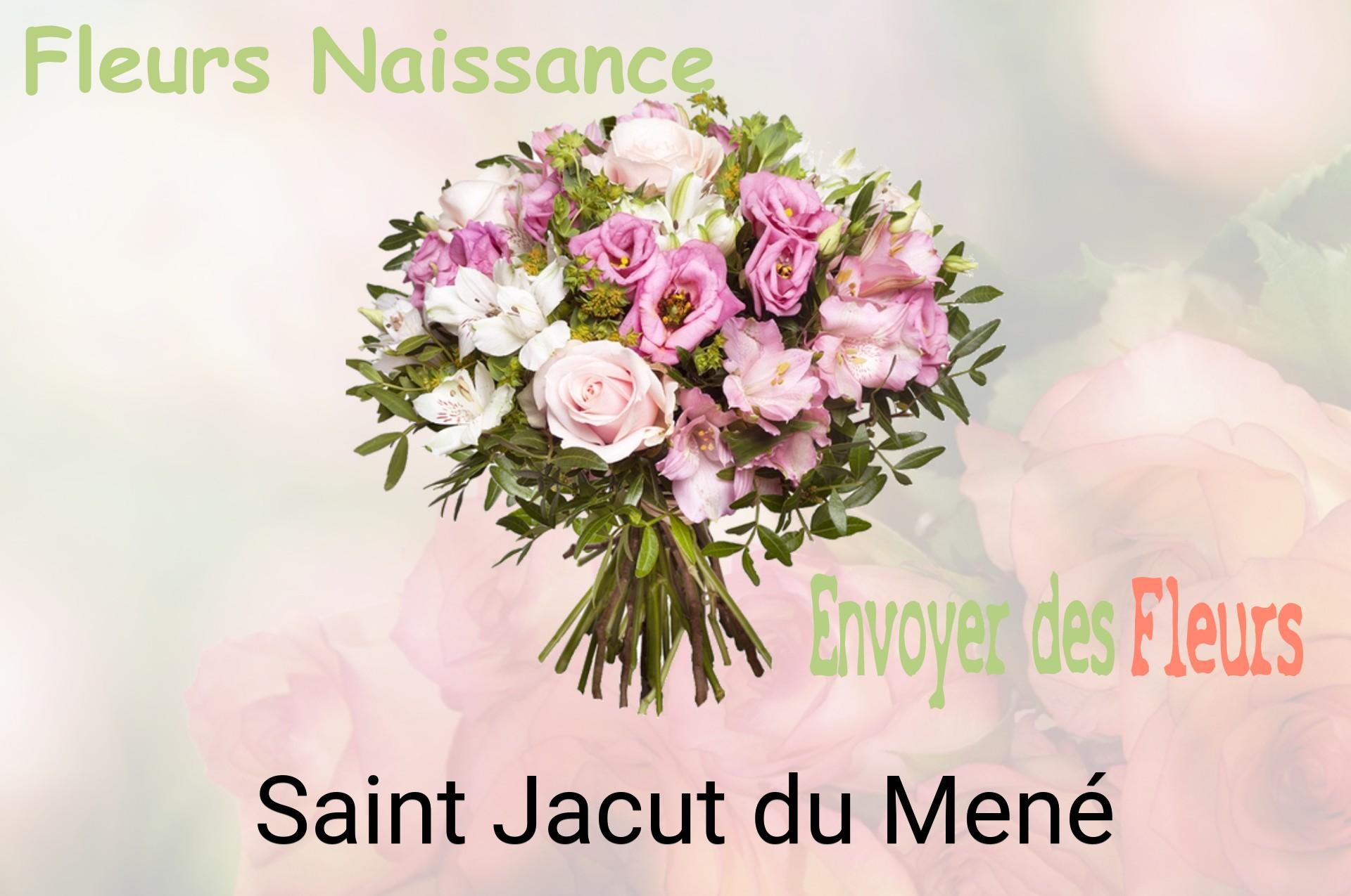 Bouquet de fleurs de naissance livré à Saint-Jacut-du-Mené